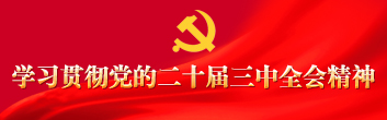 学习贯彻党的二十届三中全会精神