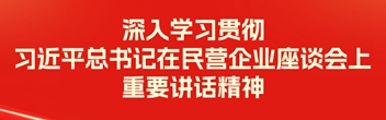 深入学习贯彻习近平总书记在民营企业座谈会上重要讲话精神