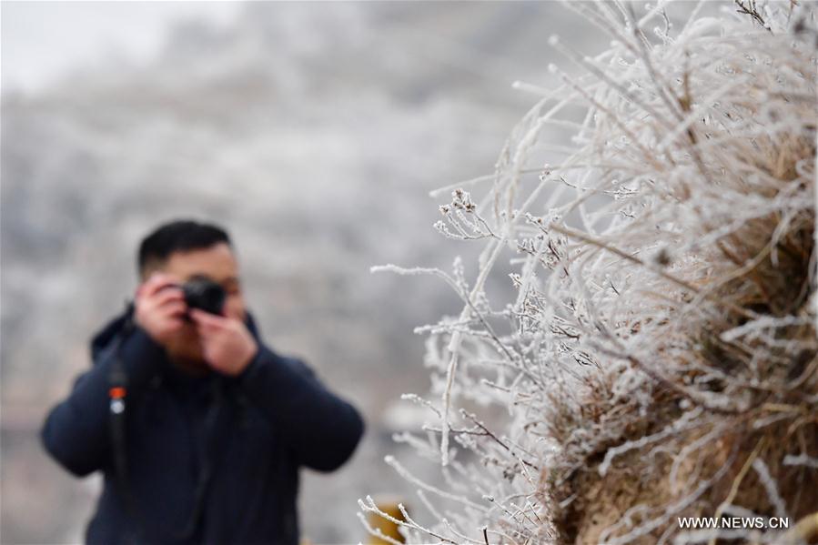 CHINA-HENAN-PINGDINGSHAN-FROST SCENERY (CN)