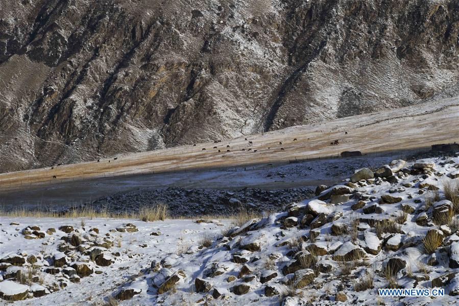 CHINA-XINJIANG-AKYAZ VALLEY-WINTER GRAZING (CN)