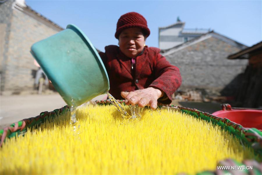 #CHINA-JIANGXI-JI'AN-SUGAR SNACK (CN)