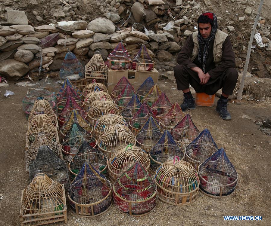 AFGHANISTAN-GHAZNI-DAILY LIFE