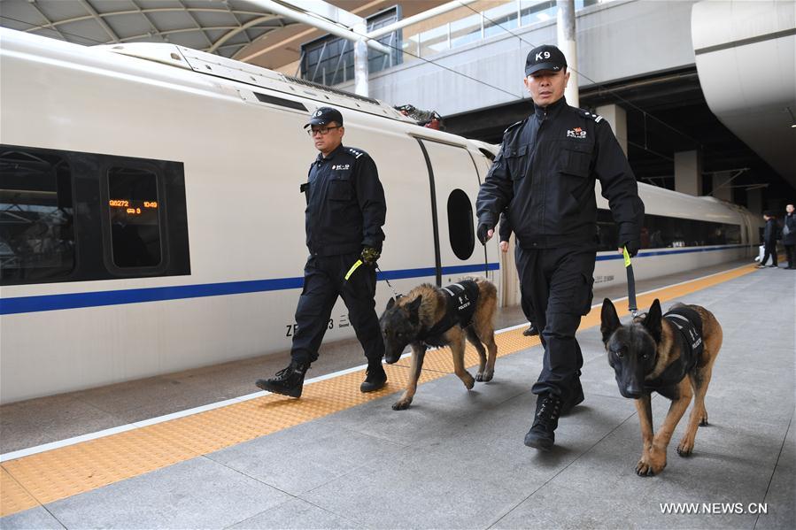 CHINA-SHIJIAZHUANG-POLICE DOG(CN)