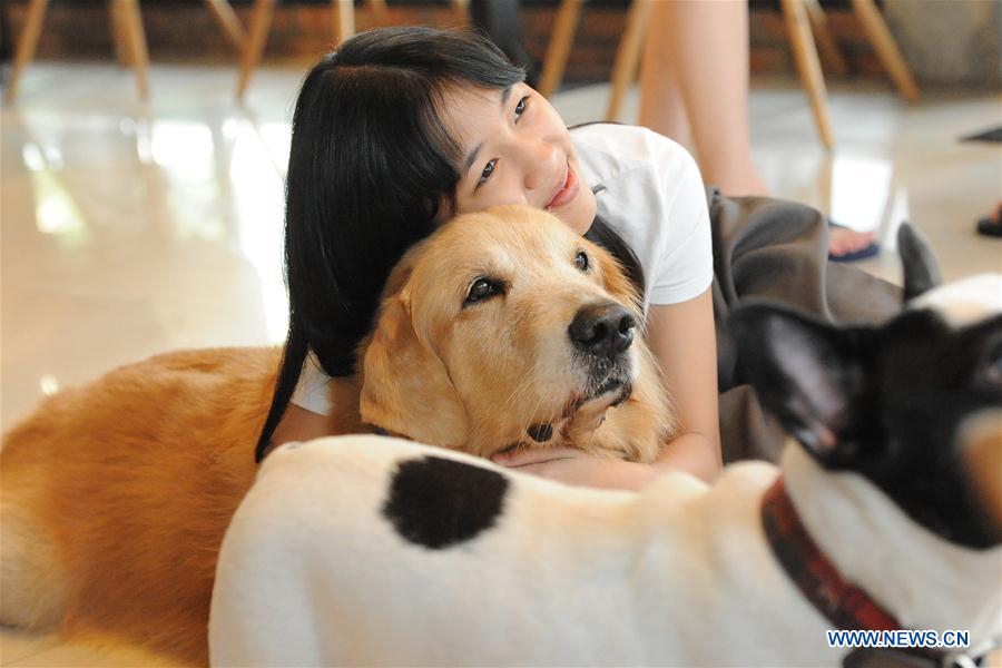 THAILAND-BANGKOK-DOG CAFE