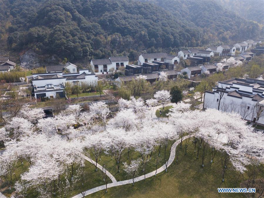 CHINA-SPRING SCENERY-FLOWERS (CN)