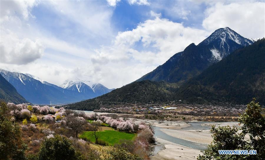 CHINA-TIBET-BOMI-PEACH BLOSSOM (CN)