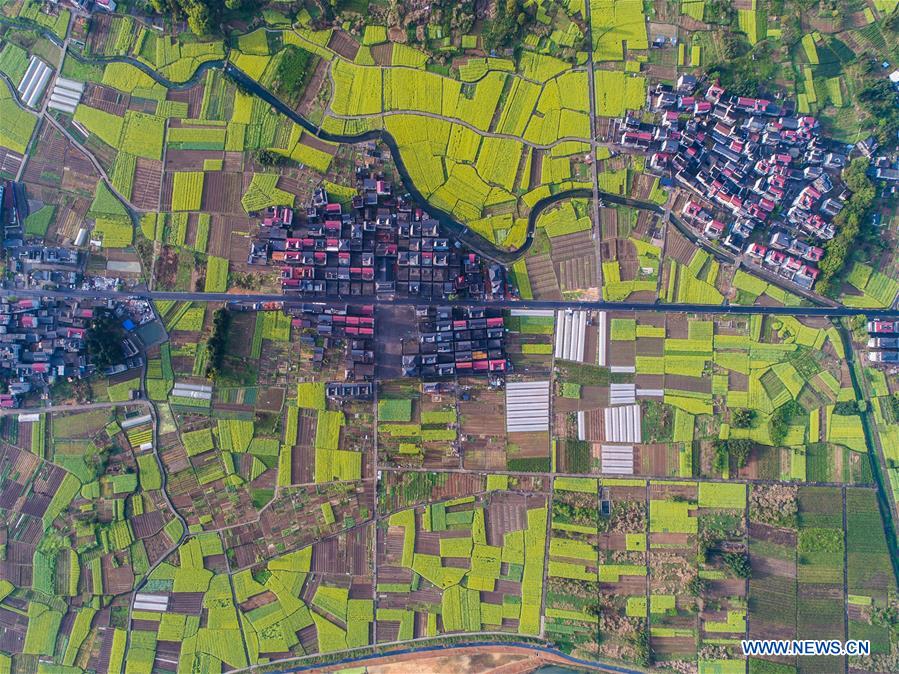 CHINA-ZHEJIANG-SPRING-SCENERY (CN)