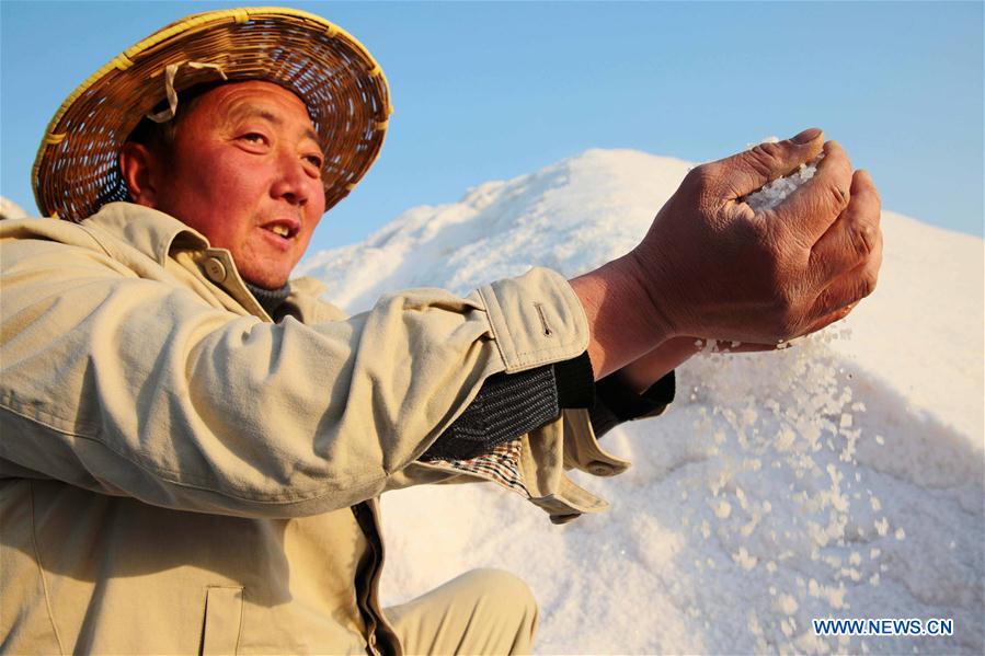 #CHINA-JIANGSU-SALT HARVEST (CN)