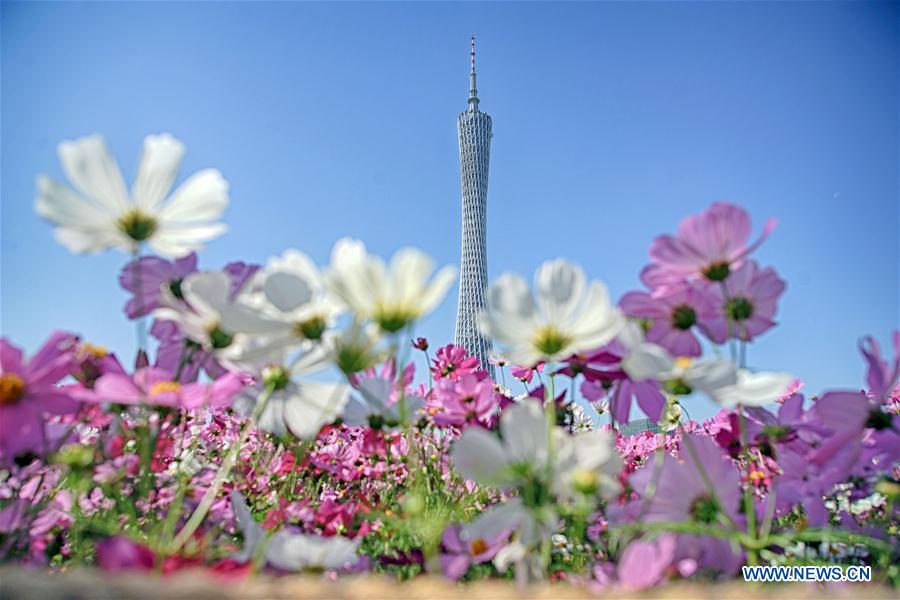 CHINA-GUANGZHOU-SPRING VIEWS (CN)