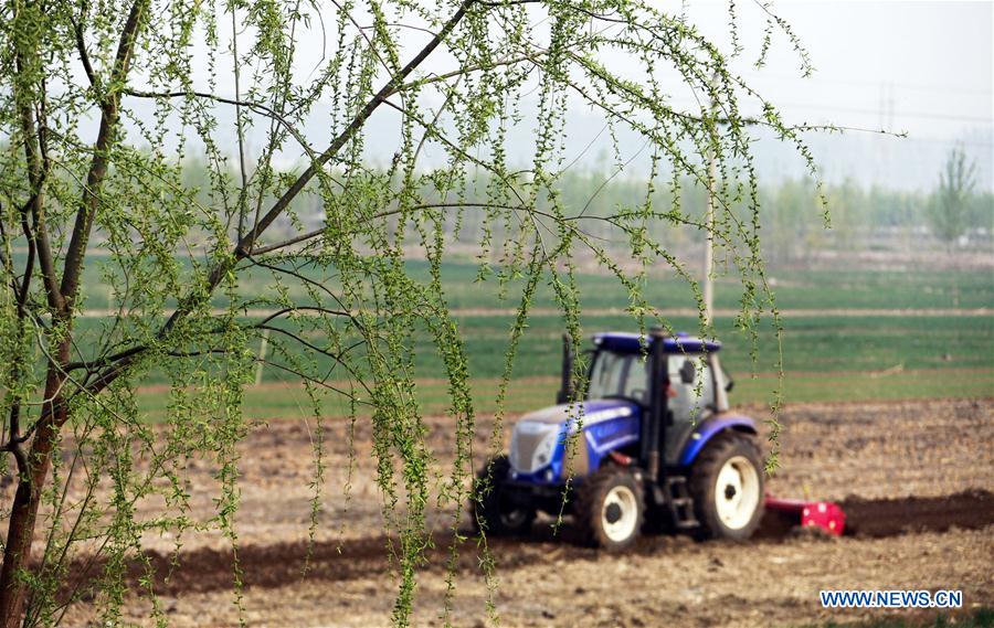 #CHINA-GUYU-FARM WORK(CN)