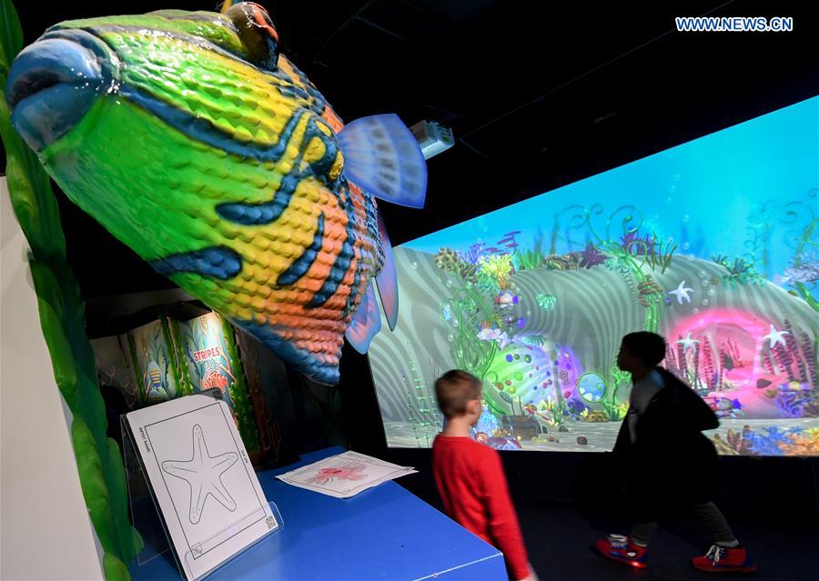 NEW ZEALAND-AUCKLAND-AQUARIUM-CHILDREN