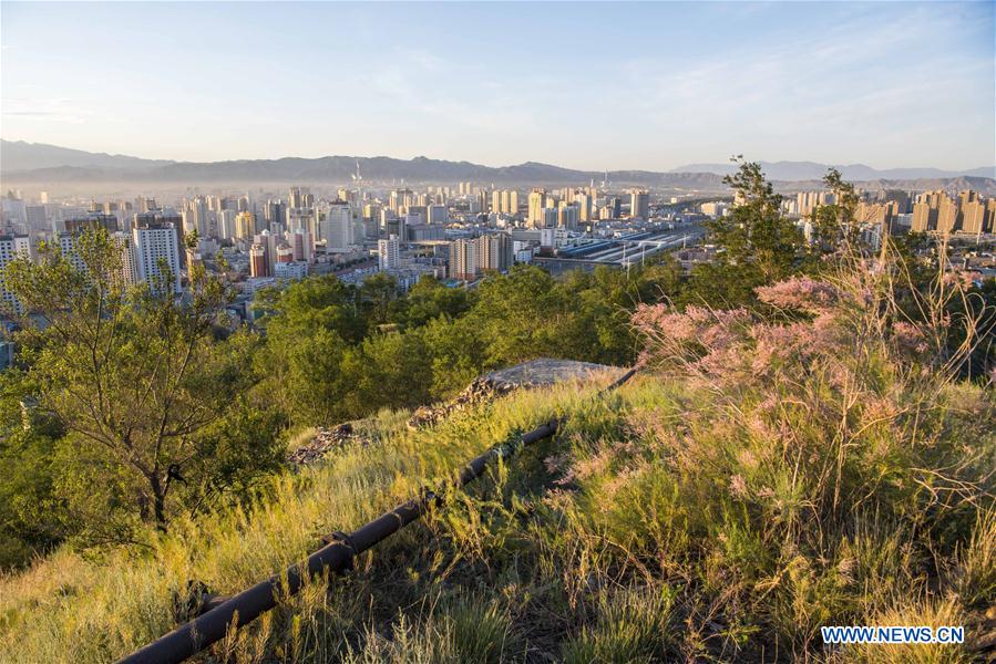 CHINA-XINJIANG-URUMQI-AFFORESTATION (CN)