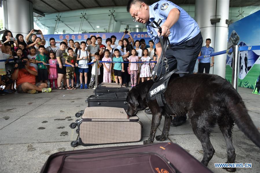 CHINA-GUANGZHOU-DRUG-SNIFFING DOGS (CN)