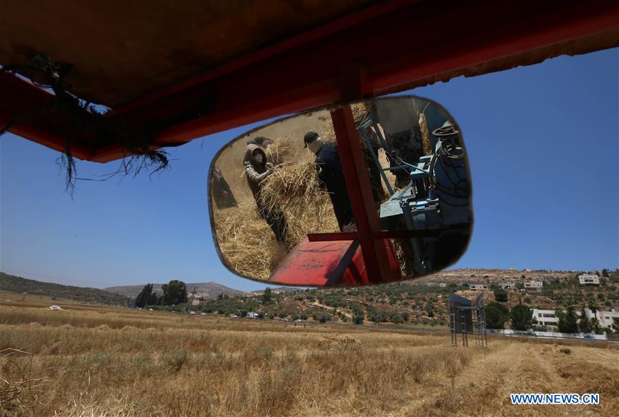 MIDEAST-NABLUS-WHEAT