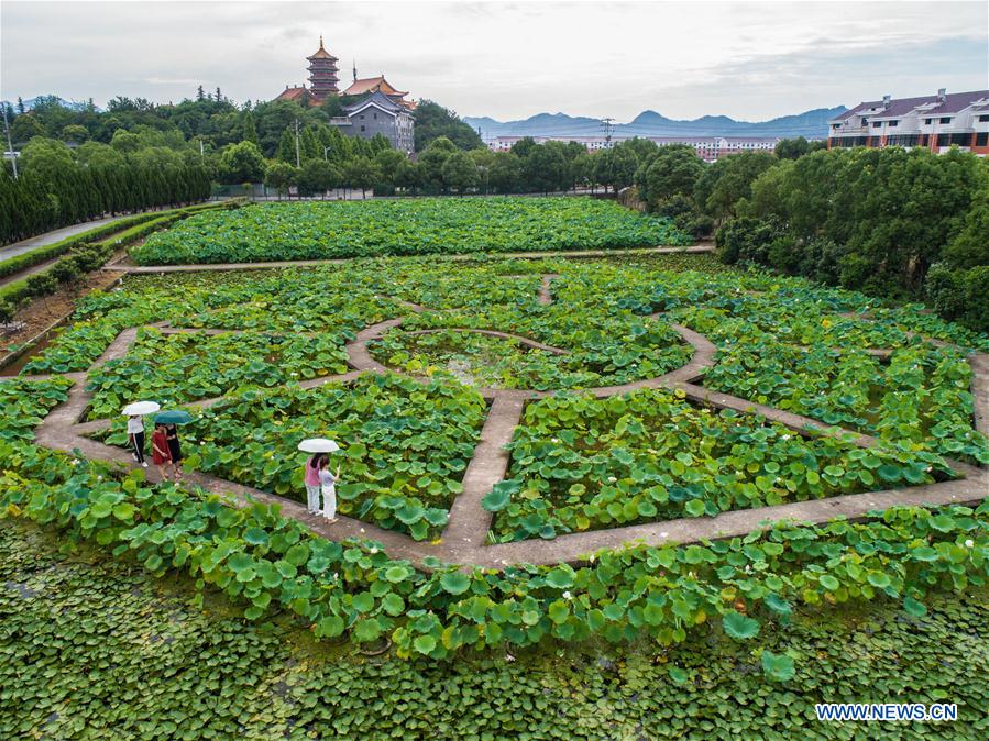 CHINA-ZHEJIANG-DONGYANG-HUAYUAN VILLAGE-DEVELOPMENT (CN)