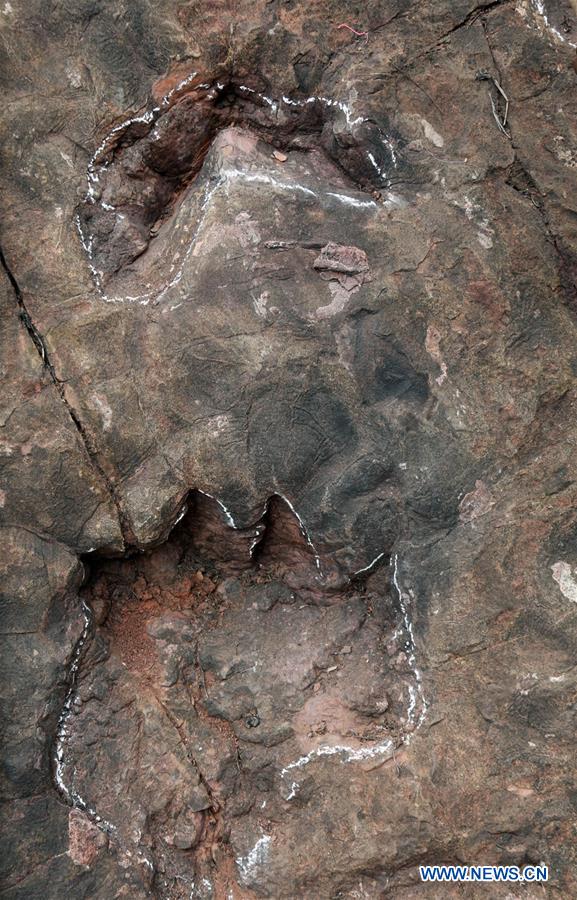 CHINA-GUIZHOU-DINOSAUR FOOTPRINTS (CN)