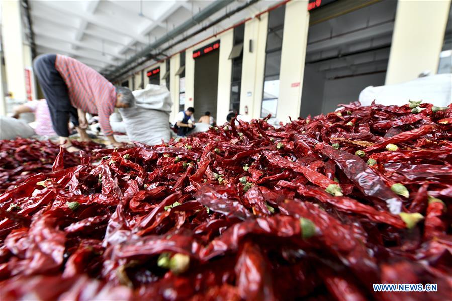 #CHINA-GUIZHOU-ZUNYI-PEPPER INDUSTRY (CN)