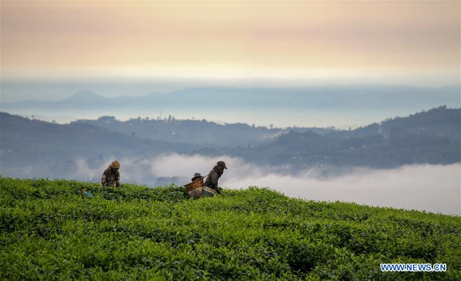 AFRICA-VIEW-SCENERY