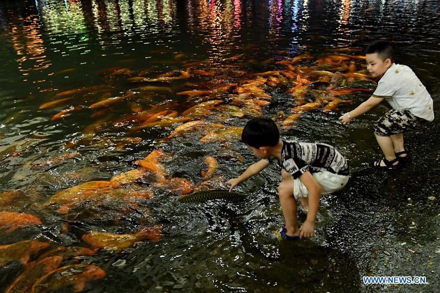 CHINA-FUJIAN-RIVER-FISH (CN)