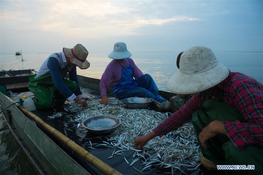 CHINA-ZHEJIANG-TAIHU LAKE-FISHING BAN-END (CN)