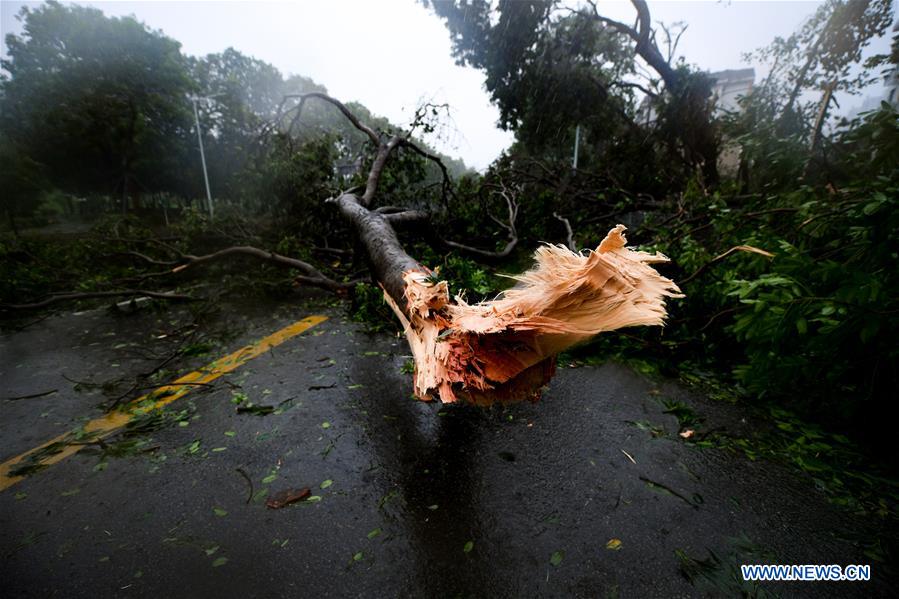 CHINA-GUANGDONG-TYPHOON MANGKHUT (CN)