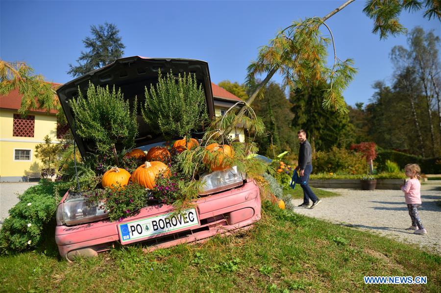 SLOVENIA-LJUBLJANA-FUNNY PUMPKIN EXHIBITION