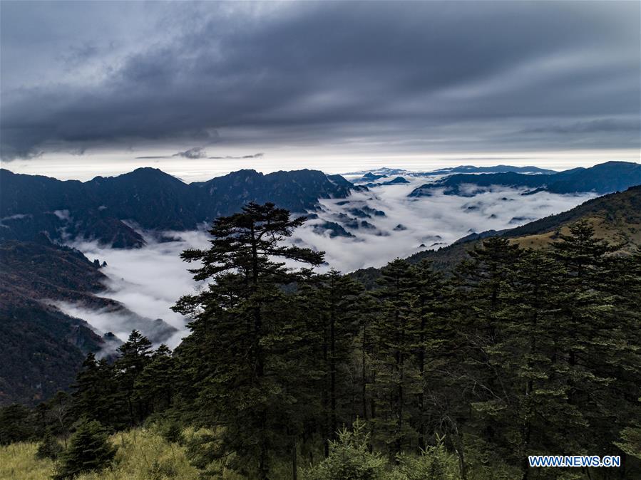 CHINA-HUBEI-SHENNONGJIA-SCENERY (CN)