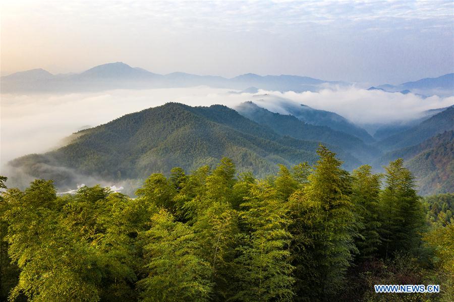 #CHINA-ANHUI-DABIESHAN MOUNTAIN-SCENERY (CN)