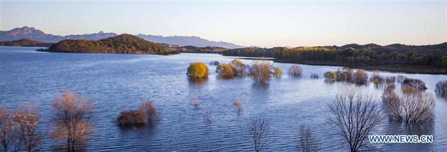 #CHINA-AUTUMN-SCENERY (CN)