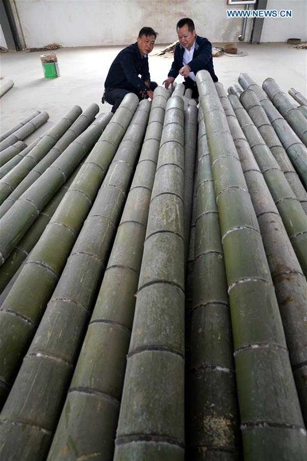 CHINA-JIANGXI-BAMBOO SPECTACLE FRAMES (CN)