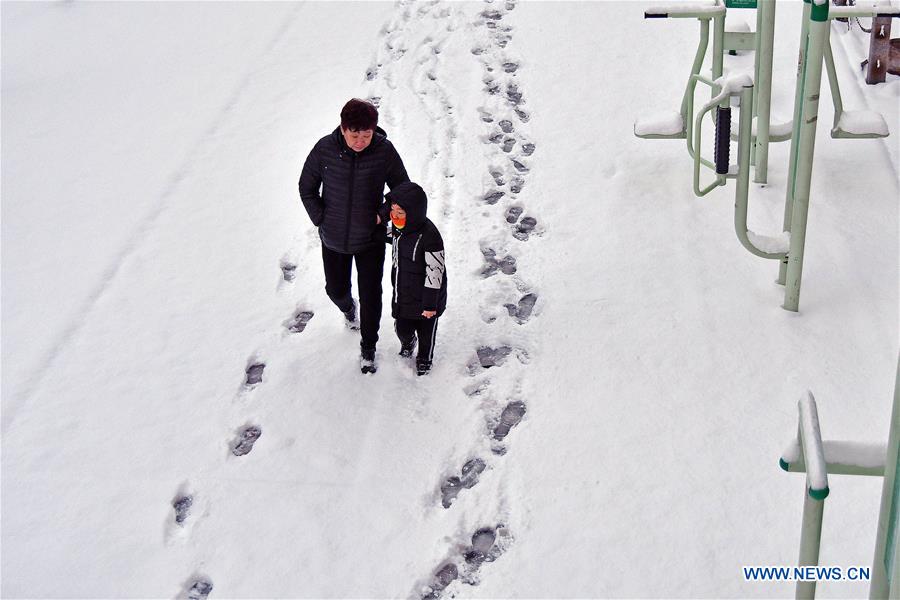 #CHINA-SHANDONG-SNOWFALL (CN)