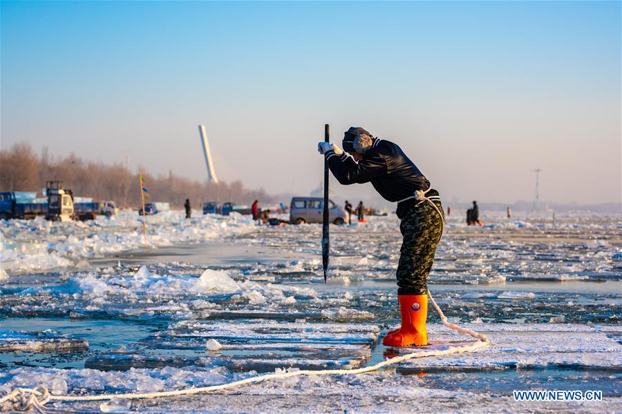 #CHINA-HARBIN-ICE COLLECTING (CN)