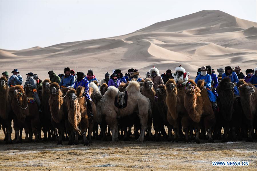 CHINA-INNER MONGOLIA-CAMEL NADAM (CN)