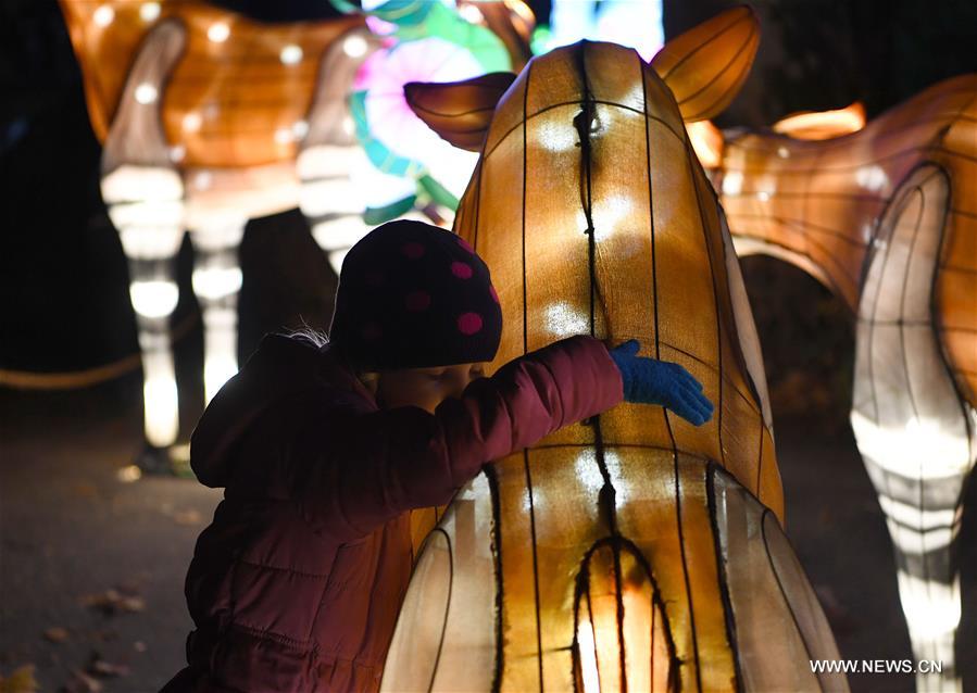 GERMANY-COLOGNE-CHINA LIGHT FESTIVAL