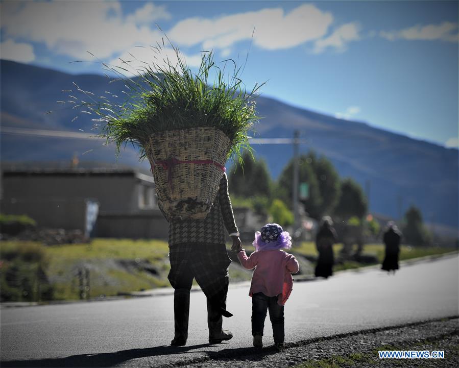 (InTibet) CHINA-TIBET-PICTURE OF 2018 (CN)