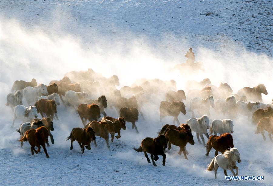 XINHUA PHOTOS OF THE DAY