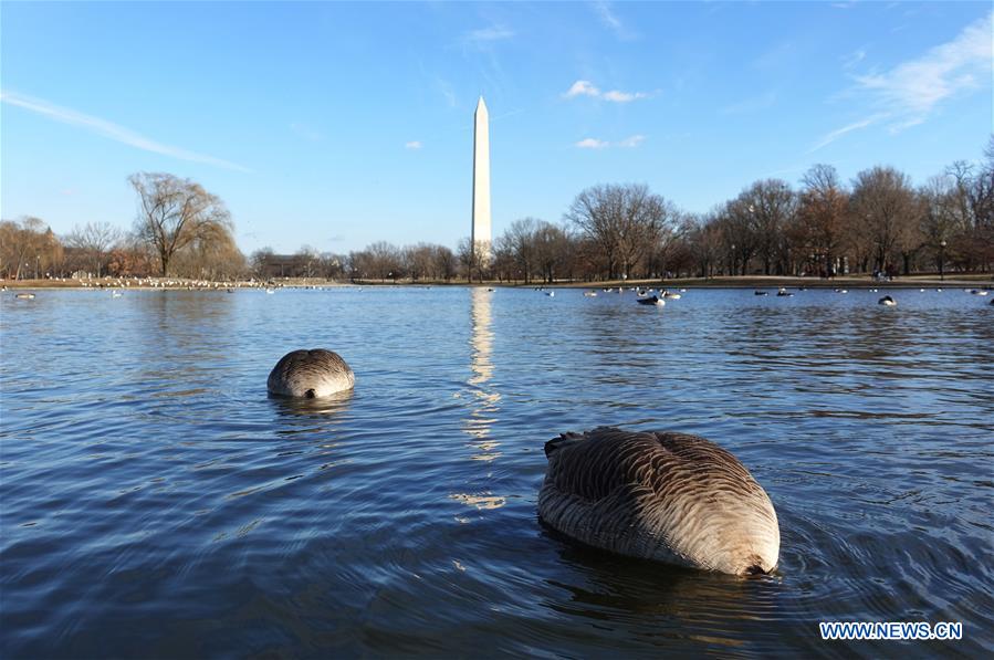 XINHUA PHOTOS OF THE DAY