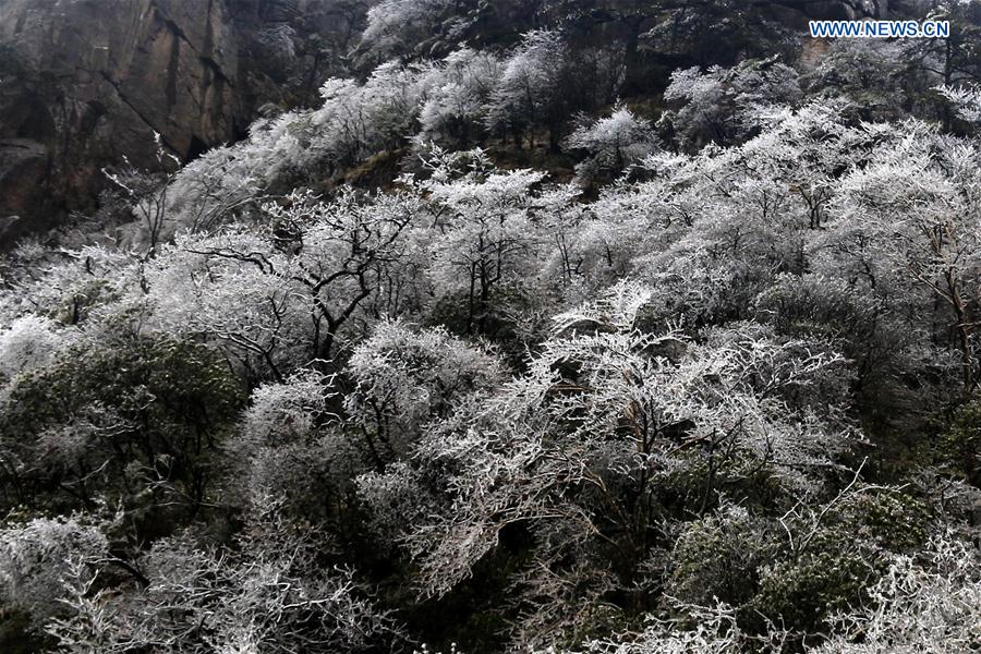 #CHINA-ANHUI-HUANGSHAN MOUNTAIN-SCENERY (CN)