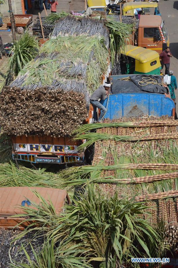 INDIA-BANGALORE-MAKAR SANKRANTI FESTIVAL-PREPARATION