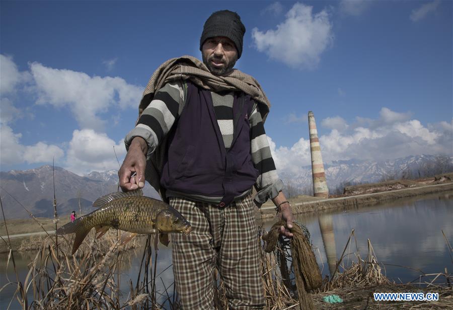 KASHMIR-SRINAGAR-DAILY LIFE