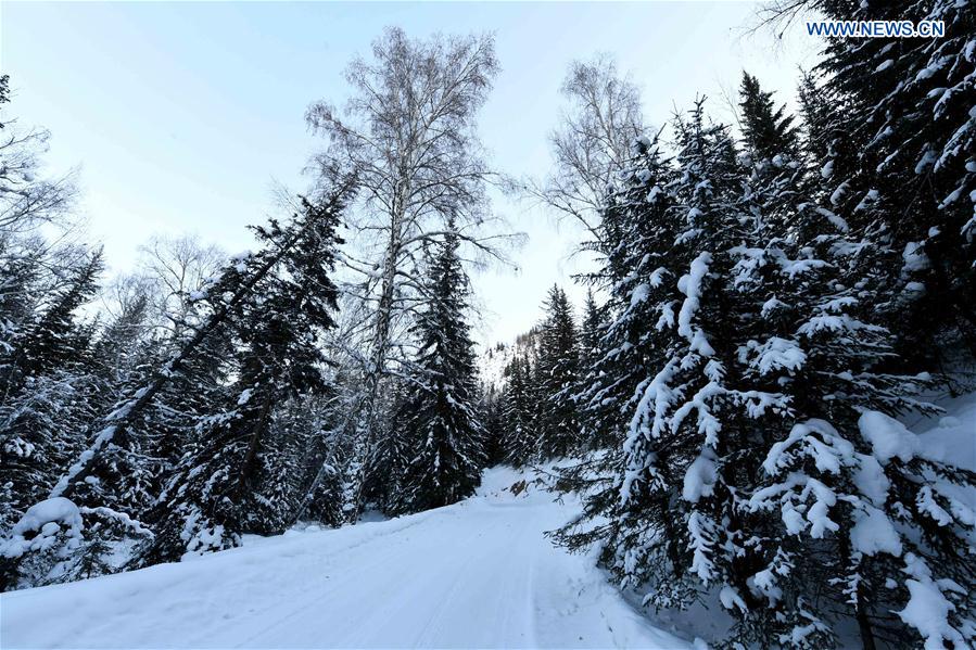 CHINA-XINJIANG-SCENIC SPOT-WINTER SCENERY (CN)