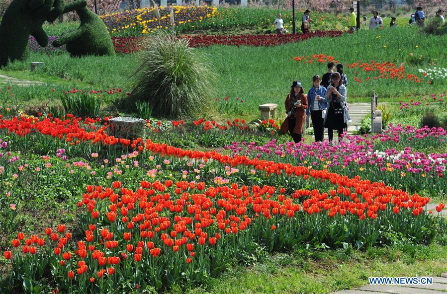 CHINA-ZHEJIANG-RURAL INCOMES (CN)