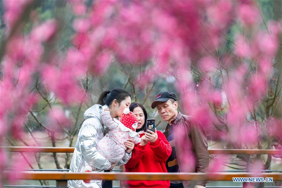 #CHINA-SPRING FESTIVAL-BLOSSOM (CN)