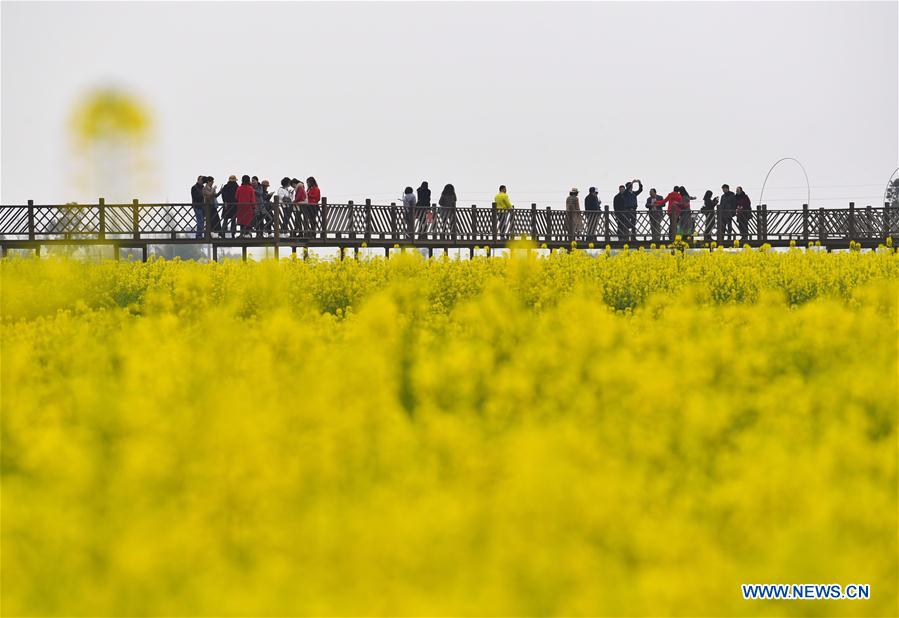 CHINA-SICHUAN-COLE FLOWERS-TOURISM (CN)