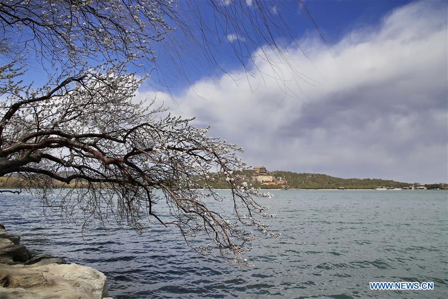 #CHINA-BEIJING-SUMMER PALACE-SCENERY (CN)