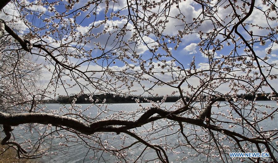 #CHINA-BEIJING-SUMMER PALACE-SCENERY (CN)