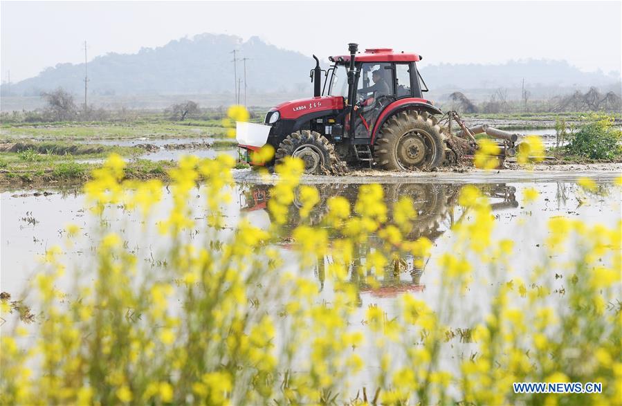 CHINA-JIANGXI-NANCHANG-FARM WORK (CN)