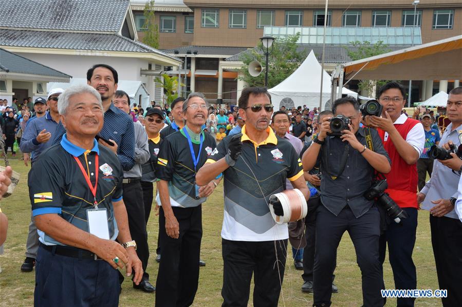 BRUNEI-BANDAR SERI BEGAWAN-KITE FESTIVAL