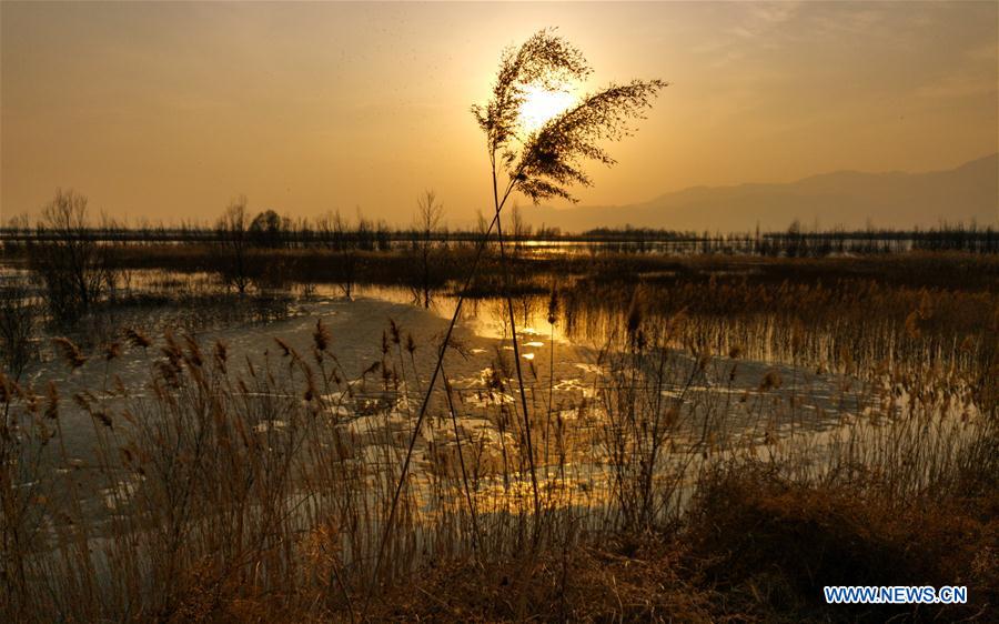 (Beijingcandid)CHINA-BEIJING-SPRING (CN)