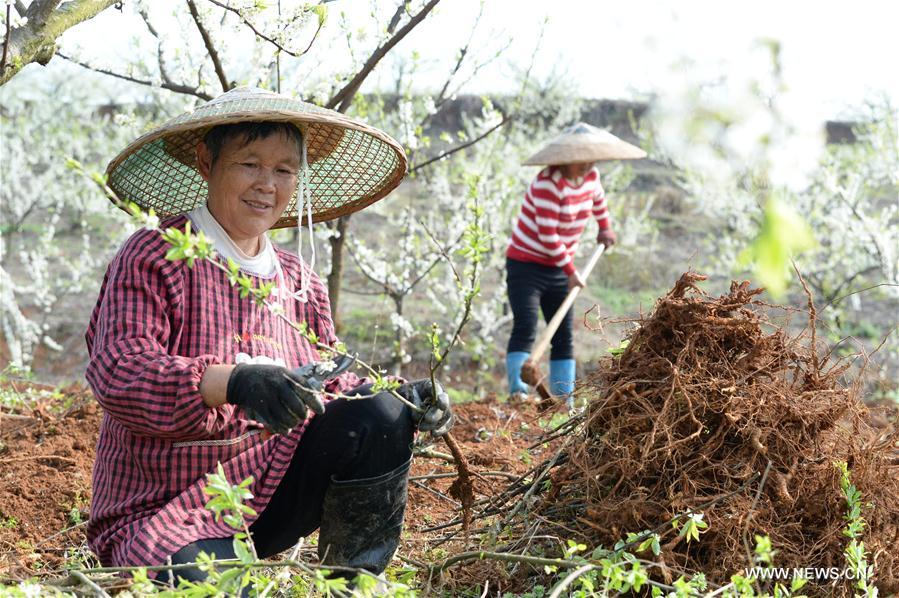 CHINA-CHUNFEN-FARM WORK(CN)